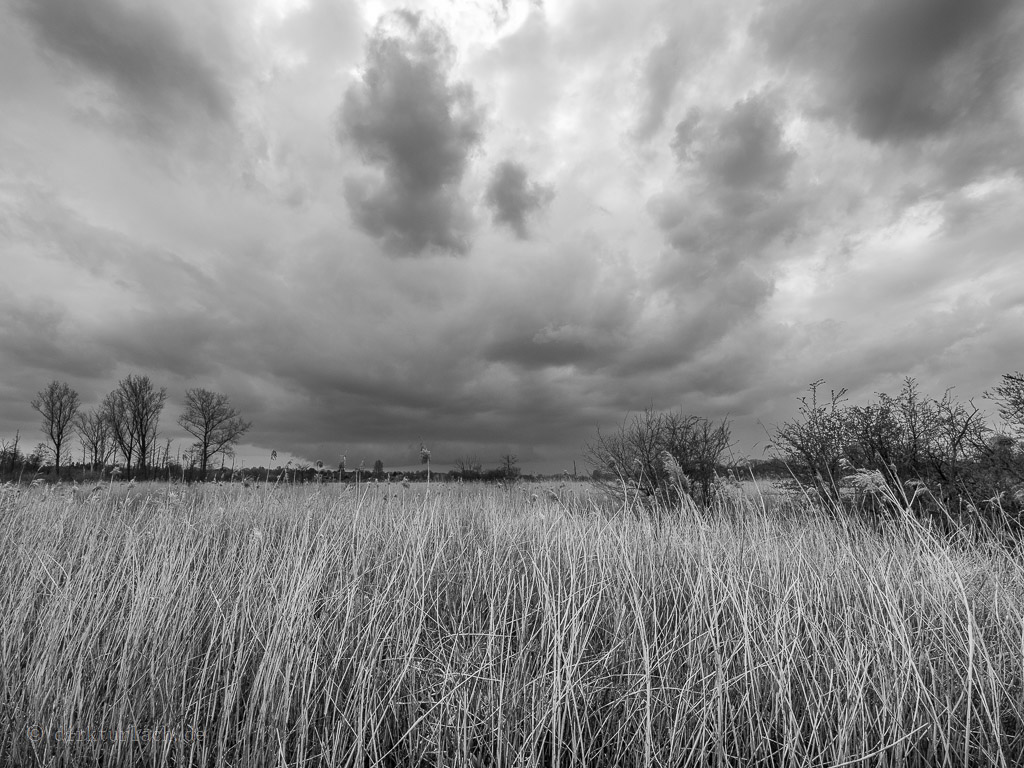 Hinter dem Nebel ein weites Land voll Möglichkeiten